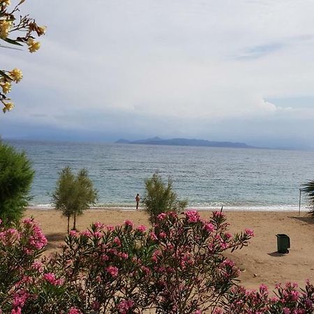 Perfect Beachfront Apartment Athens Ngoại thất bức ảnh
